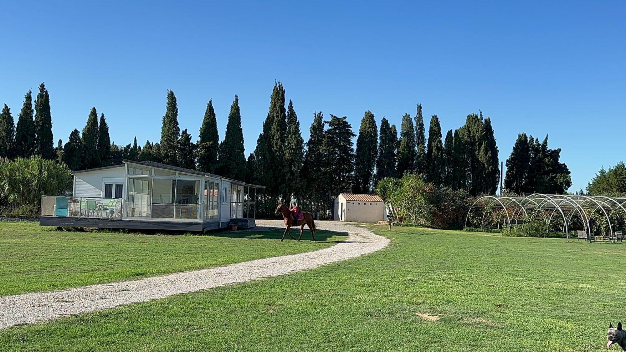 Le Mas Del Cargol Palau-del-Vidre Exterior photo